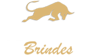 Taurus Brindes